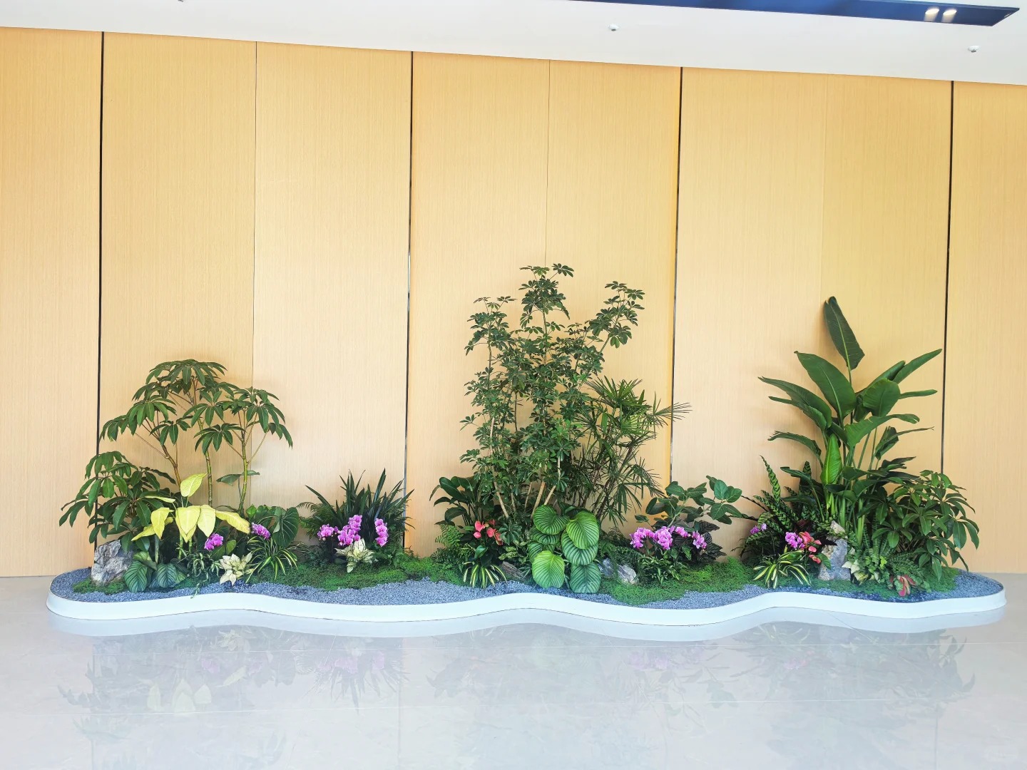 了解慈溪植物出租，轻松营造梦幻绿色空间